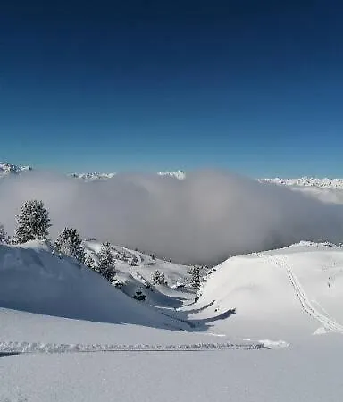 Haus Nina Apartment *